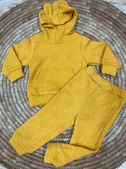 Boys 2 piece set(Pick Next Size)